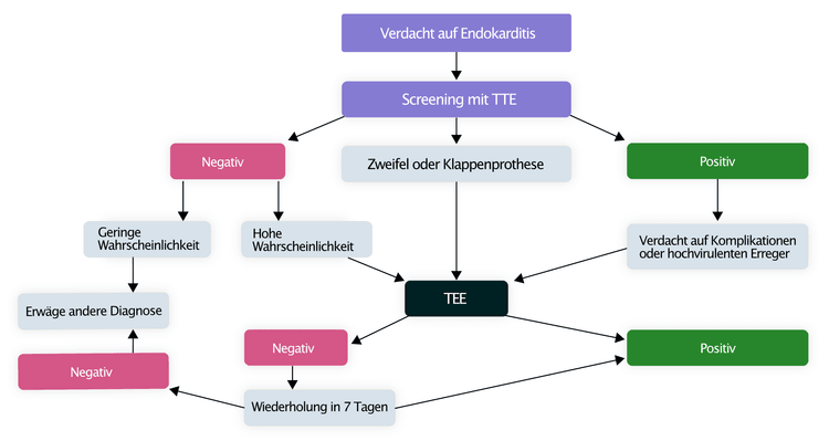 Abbildung 1. Flussdiagramm zur Untersuchung bei Verdacht auf Endokarditis.