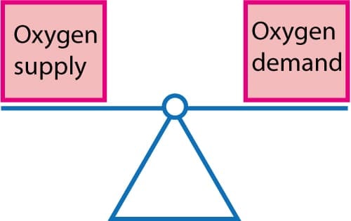 Figure 2. The balance between oxygen supply and demand.