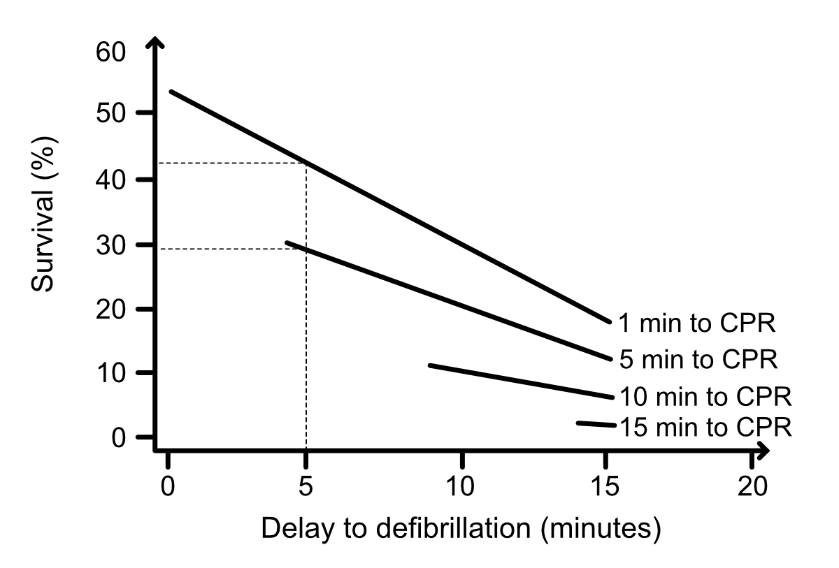 Diagramm zum Zusammenhang zwischen der Zeit bis zum Beginn der Reanimation und der Wahrscheinlichkeit einer erfolgreichen Defibrillation.