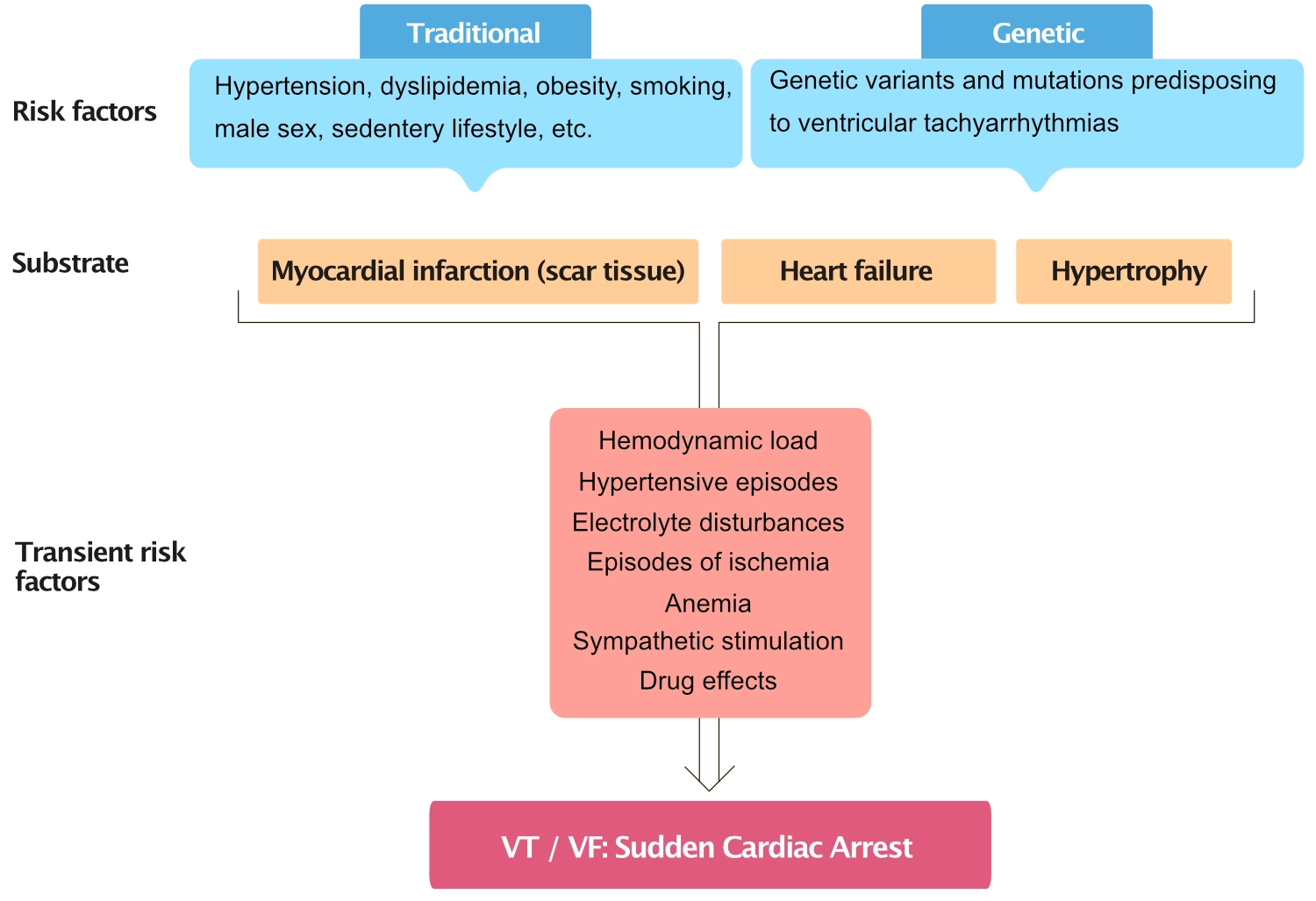 Schema des mehrstufigen Prozesses, der über Risikofaktoren, arrhythmogenes Substrat und transiente Auslöser zum plötzlichen Herzstillstand führt